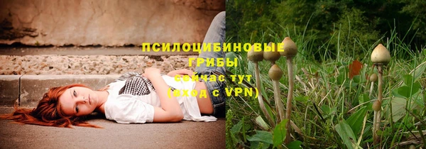 тгк Кукмор