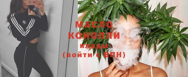 тгк Кукмор