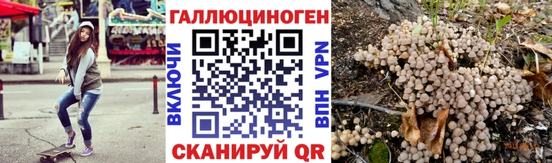 где продают   Алдан  Псилоцибиновые грибы GOLDEN TEACHER 