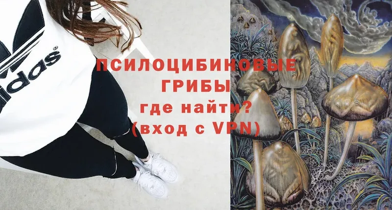 Галлюциногенные грибы ЛСД Алдан
